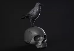 Raven and Skull 3D print model