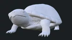 Realistic Turtle Toy 3D print model