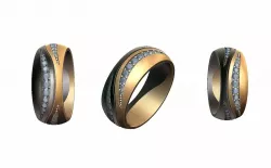 Ring 2 3D print model