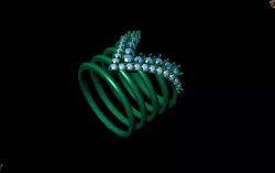 Ring alliance  3D print model