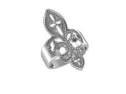 Ring cut out 3D print model