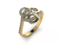Ring R0654 3D print model