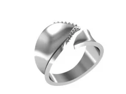 Ring split 3D print model