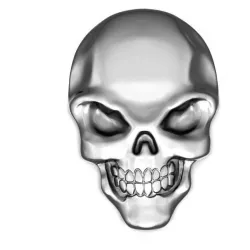 skull 3D print model