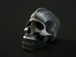 skull 3D print model