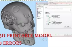 Skull 3D print model