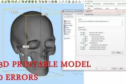 Skull 3D print model