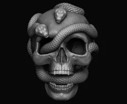Skull with snakes 3D print model