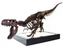 T-Rex Skeleton - Leo Burton Mount 3D print model