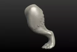 Wolf Hind Leg 3D print model