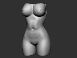 Woman Torso 3D print model