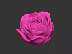 3d Printable Rose - Flat base - No supports needed 3D print model