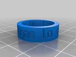 anillo2