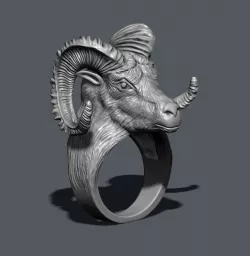 aries ring 3D print model