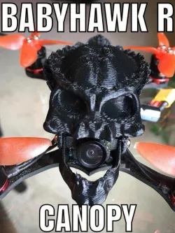 Babyhawk R Predator Alien Skull Drone Canopy 3D print model