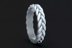 Braid Ring 3D print model