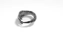 Claw ring 3D print model