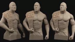 Dwayne The Rock  Johnson 3D print model