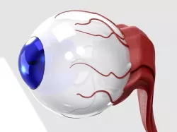 Eyeball