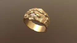 Golden Ring 3D print model