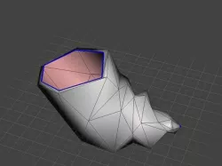 Hermit Crab Shell