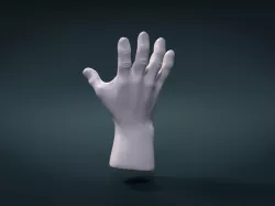 High Poly Hand 3D print model