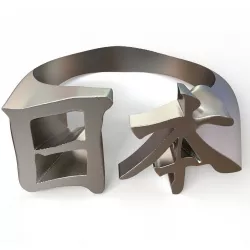 Japan Kanji ring 3D print model