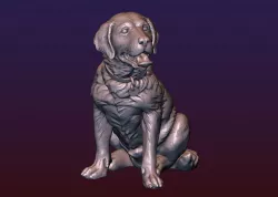 Labrador 3D print model