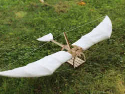 Leonardo da Vinci inspired glider