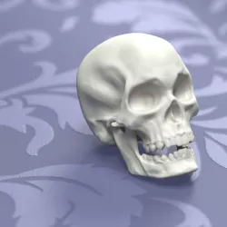 Printable Skull 3D print model