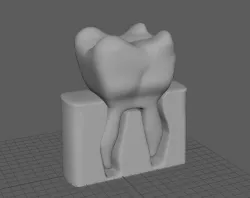 Printable Tooth 3D print model