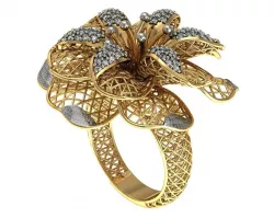 Ring 2 3D print model