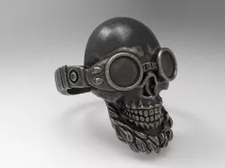 Ring-biker2 3D print model