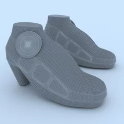 Shoes in 3D 3D print model