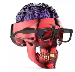skull 3d model 3D print model