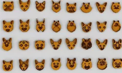 Sweet Cat Faces 3D print model