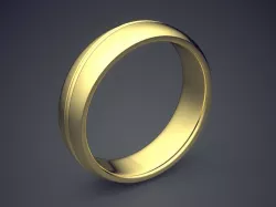 Thick Ring 2013 3D print model