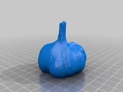 Garlic Bulb (3D scan)