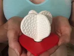 Heart -Standard