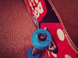 Skateboard Wheels