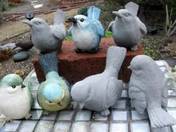 Three Bird Models