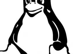 Tux Logo Key Fob