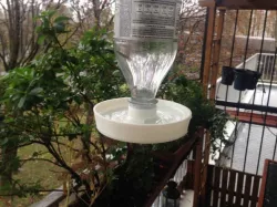 Abreuvoir pour oiseaux sur bouteille - Soda Clean water dispenser for birds