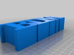 BDM