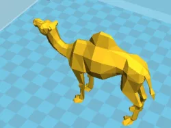 Camel - ???