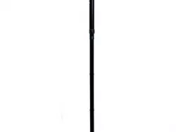 Cane from the movie Citizen Kane.
