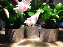 Flower Pot "PoliPod"