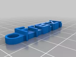 Frenzi flat Keychain