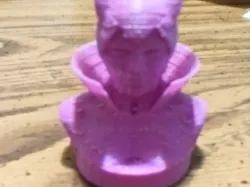 Maleficent Bust