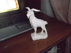 Mountain goat